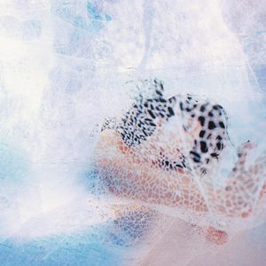 欧洲AⅤ亚洲AV综合在线观看
